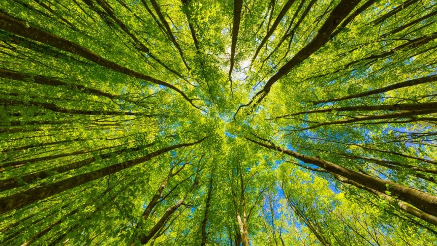 Building a more sustainable world together