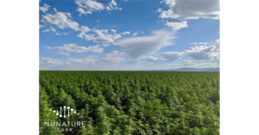 U.S. Based NuNature Labs Approved to Provide Medical Cannabis Products in Brazil U.S. Based NuNature Labs Approved to Provide Medical Cannabis Products in Brazil
