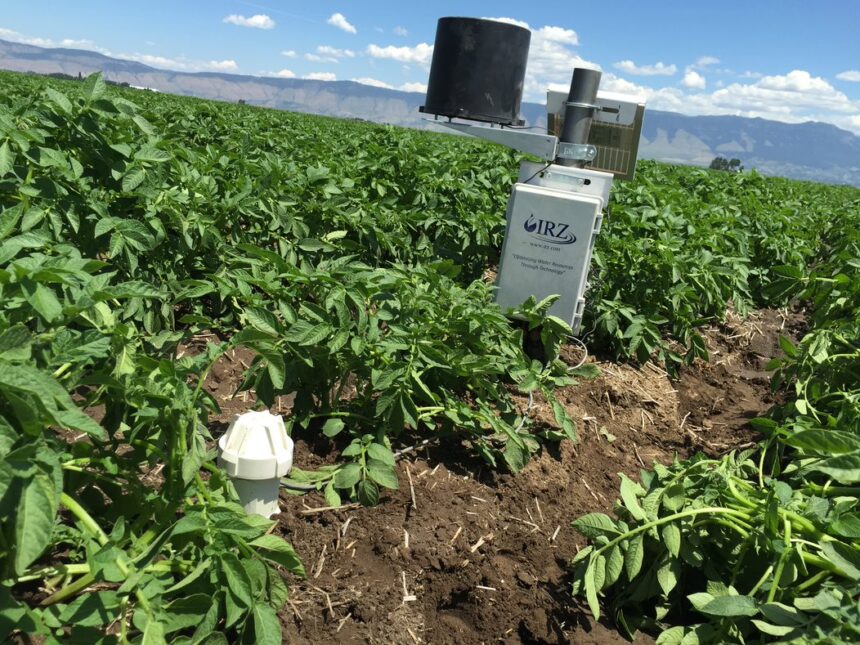 Using Azure and Windows 11, IRZ consulting company helps farmers save water and power