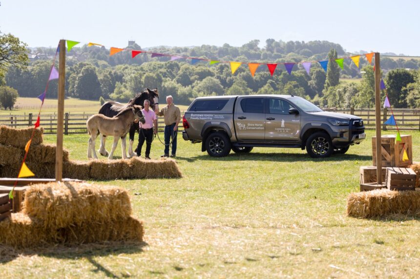 Horsing around in a Hilux Horsing around in a Hilux