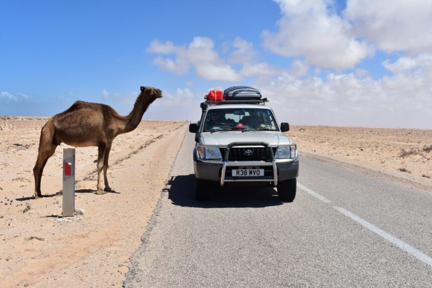 Land Cruiser Adventure: from Orkney to Zimbabwe Land Cruiser Adventure: from Orkney to Zimbabwe